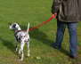 Hundeplatz