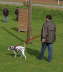 Hundeplatz